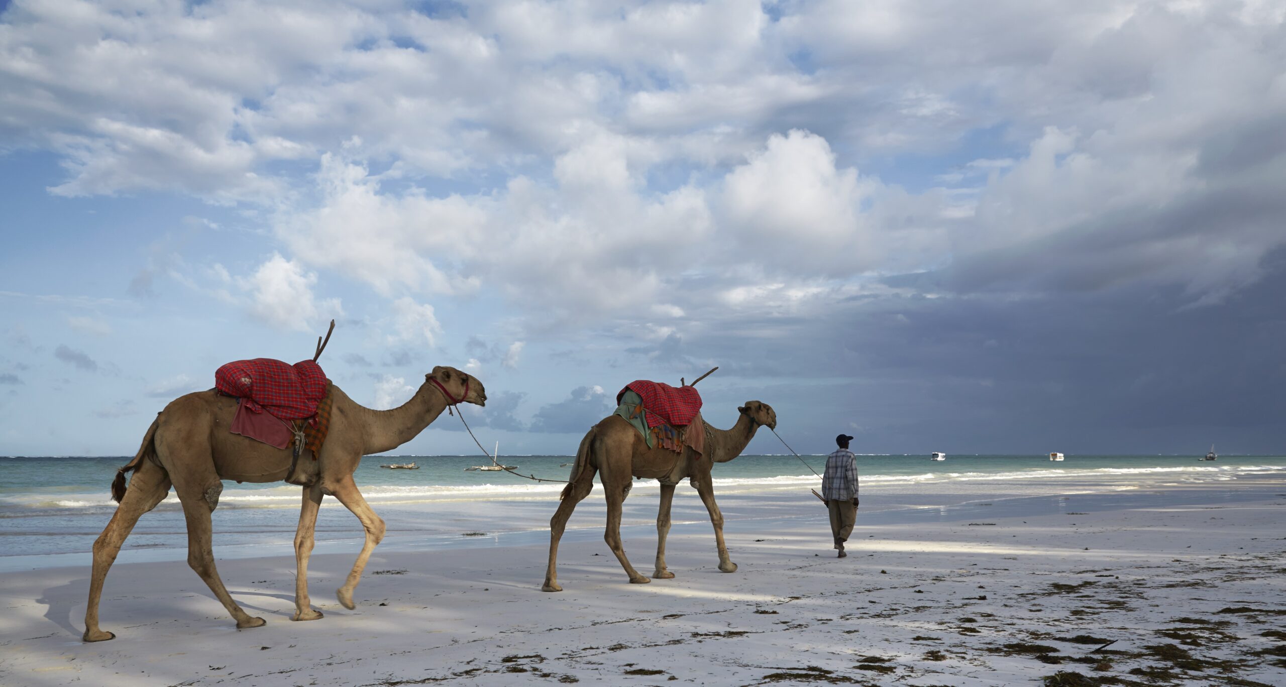 Neptune Palm Beach Resort & SPA: encantador hotel boutique à beira das praias mais belas do Quénia